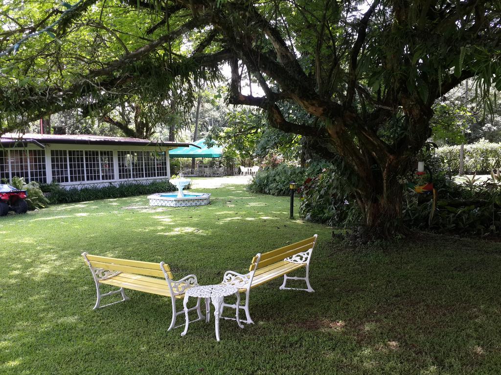 Park Eden Bed & Breakfast Los Llanitos Extérieur photo