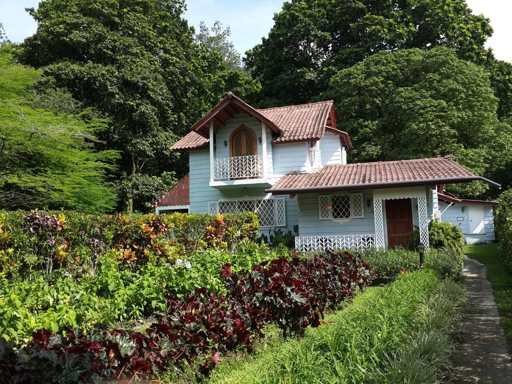 Park Eden Bed & Breakfast Los Llanitos Chambre photo