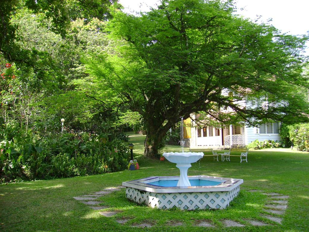 Park Eden Bed & Breakfast Los Llanitos Extérieur photo